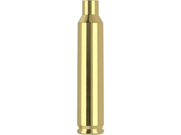 204 brass