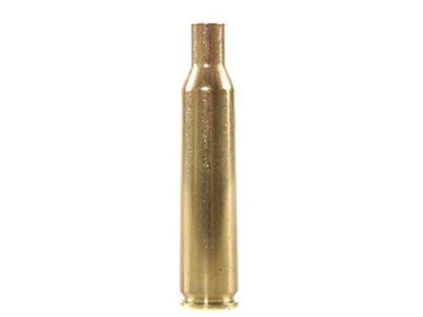 6mm remington ammo brass